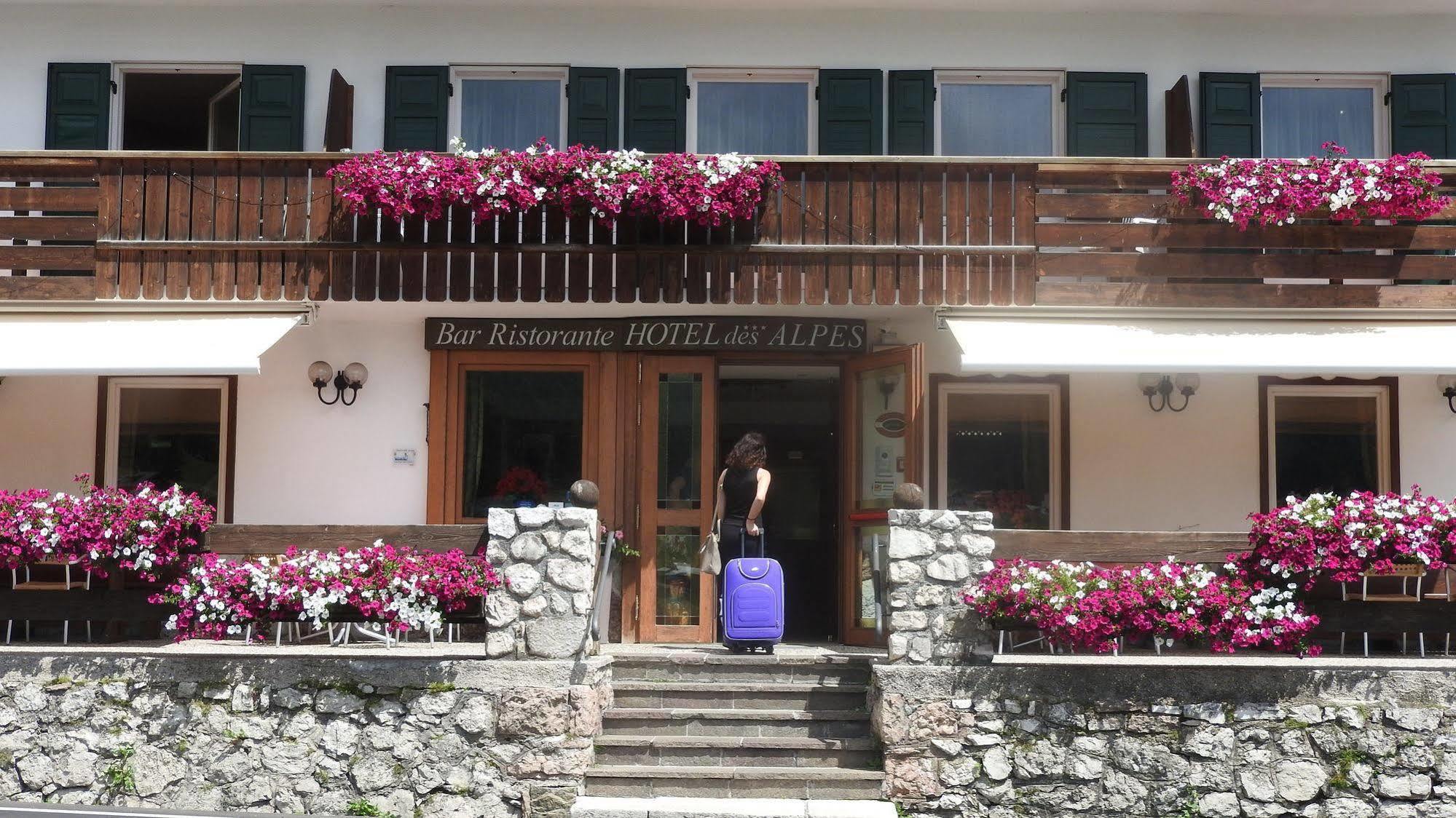 Hotel Des Alpes Cortina dʼAmpezzo Extérieur photo